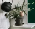 Bloom ceramic plant irrigators