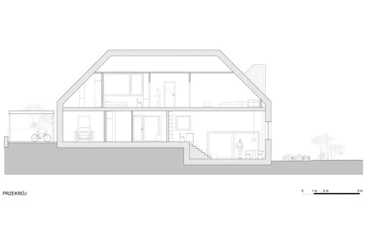 section