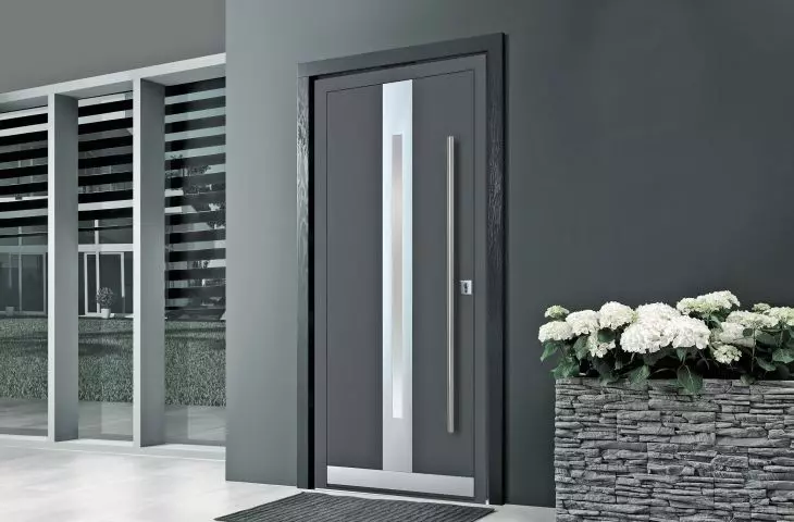 INNOVIEW entry doors