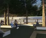 Development of the school's surroundings