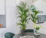 The architects took care of a lot of greenery