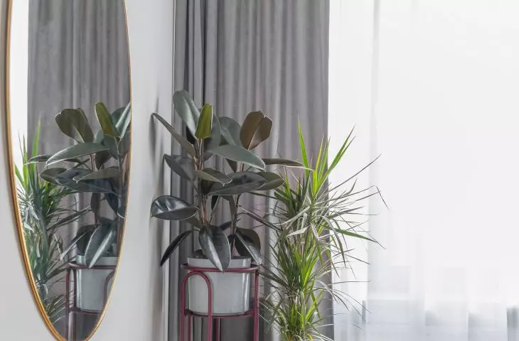 Flowerbeds Lushly in the Bedroom
