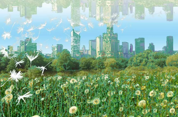 parallel world Y