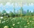 parallel world Y