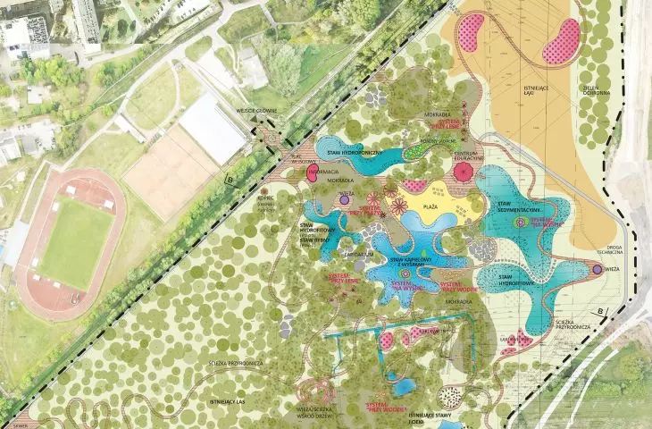 Urban wetlands, plan 
