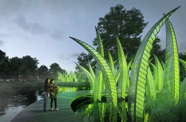 Path through wetlands and ponds, by the passive atmospheric water harvesting system 