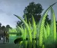 Path through wetlands and ponds, by the passive atmospheric water harvesting system 