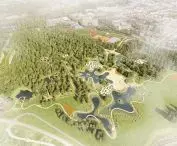 Urban wetlands, bird's eye view