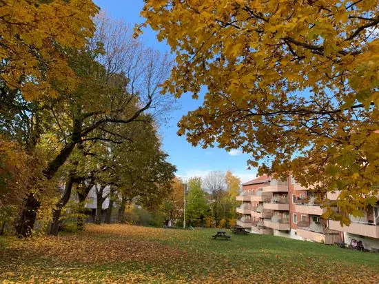 Grünerløkka — przykład szeroko wykorzystywanego półpublicznego podwórza z lat 60. XX wieku