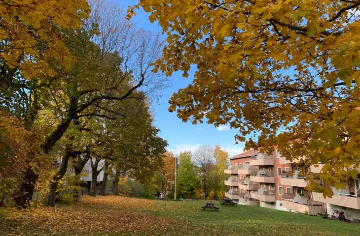 Grünerløkka - an example of a widely used semi-public courtyard from the 1960s