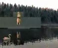 VATN summer house was built in a shipping container