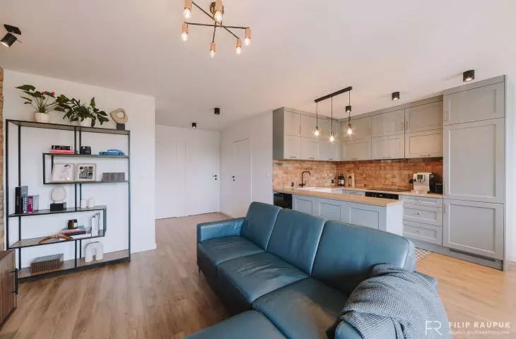 Apartment in Szczecin, open living room and kitchen