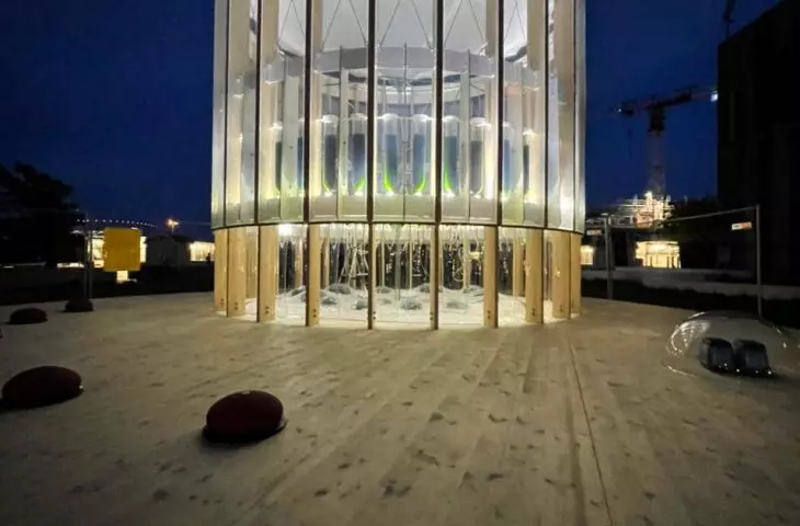instalację stworzyli projektanci z ecoLogicStudio