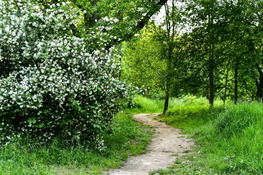 Park Rzeczny Wilga
przed rozpoczęciem prac