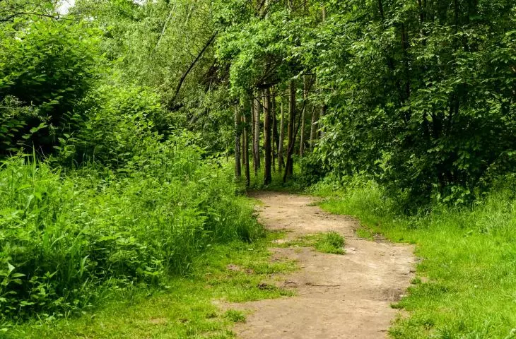 Park przed rozpoczęciem prac 