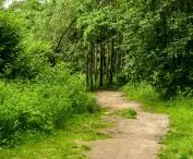 Park przed rozpoczęciem prac 