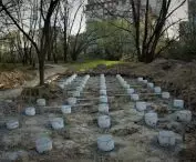 Drugi etap prac Park Rzeczny Wilga 