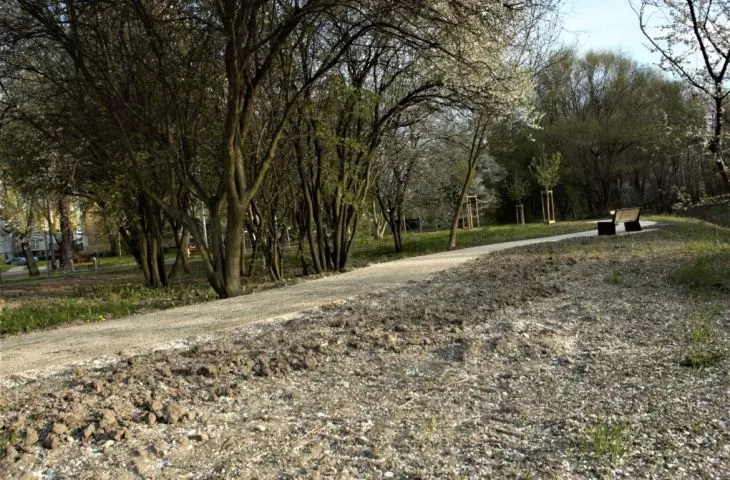 Drugi etap prac Park Rzeczny Wilga 
