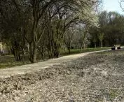 Drugi etap prac Park Rzeczny Wilga 