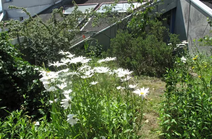 Kompleks 99 mieszkań komunalnych (w którym każde z nich jest inne) w Ivry-sur-Seine