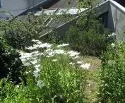 Kompleks 99 mieszkań komunalnych (w którym każde z nich jest inne) w Ivry-sur-Seine