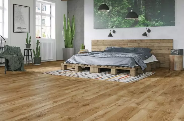 Vision - Athabasca Oak  