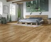 Vision - Athabasca Oak  