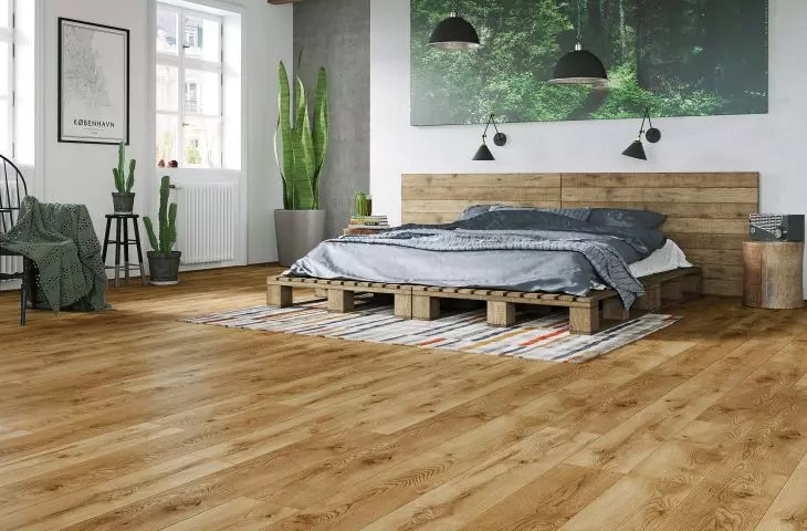 Vision — Athabasca Oak