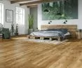 Vision — Athabasca Oak