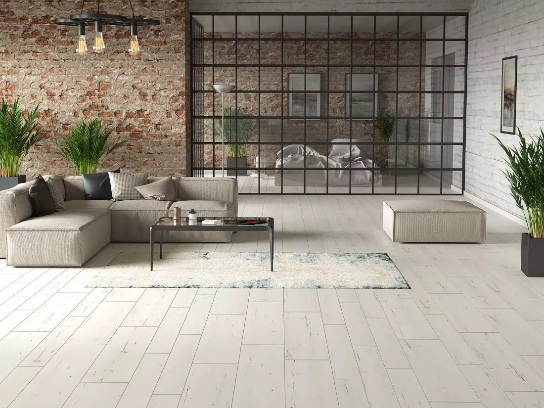 Arteo — Famara Oak ©
RuckZuck