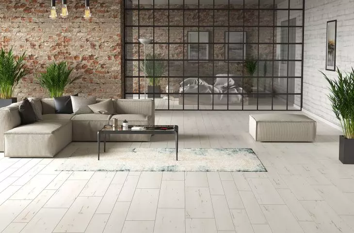 Arteo — Famara Oak