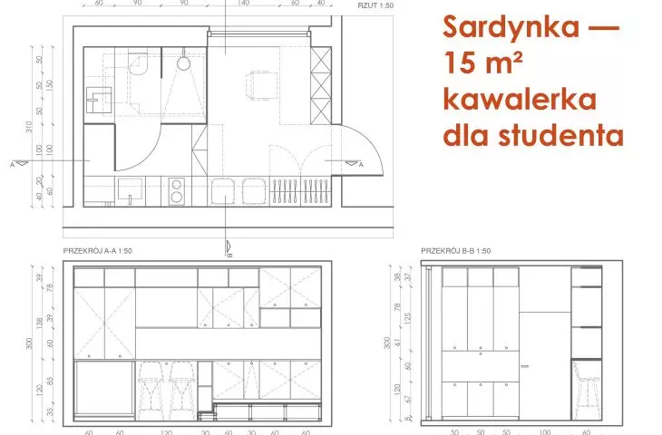 Sardynka, 15 m² kawalerka dla studenta, rzut
