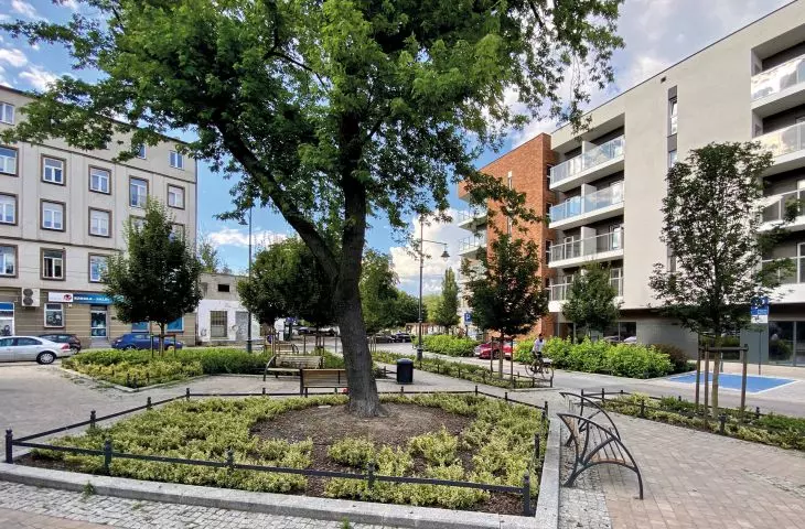 Regeneration of Lodz