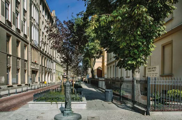 Regeneration of Lodz