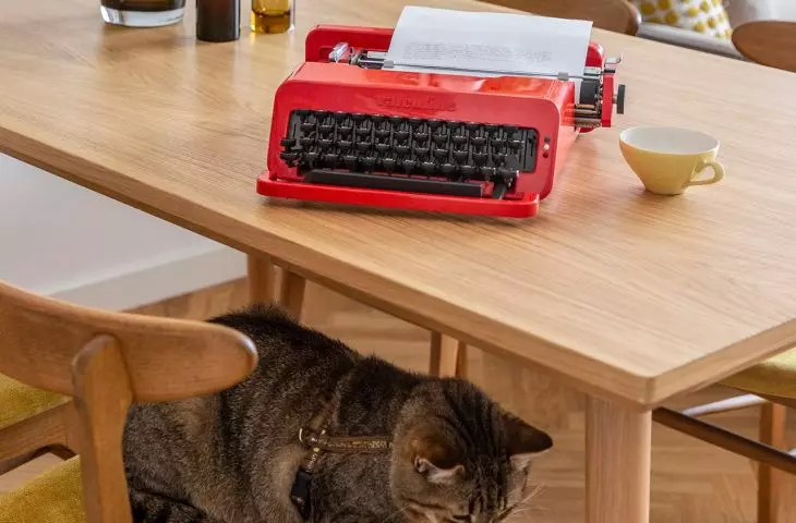 Tiger the cat is also a resident