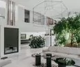 Greenery in the living room space