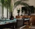 The palm tree was still in this apartment with the previous residents, and they decided to gift it to the new owner