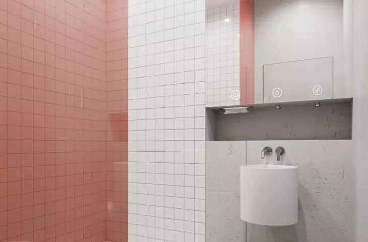 Ravimed office building, one of the bathrooms