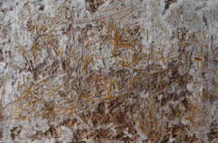 mycelium insulation panels