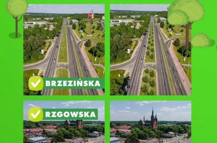 Posters promoting a project to plant 20,000 trees in Lodz.
