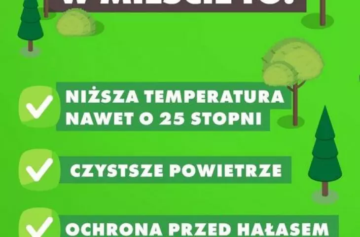 Posters promoting a project to plant 20,000 trees in Lodz.