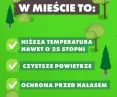 Plakaty promujące projekt sadzenia 20 tys. drzew w Łodzi