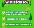 Posters promoting a project to plant 20,000 trees in Lodz.