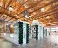 Library on the Level, open roof truss