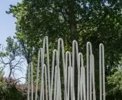 „Czesacz mgły” w przestrzeni miejskiej
