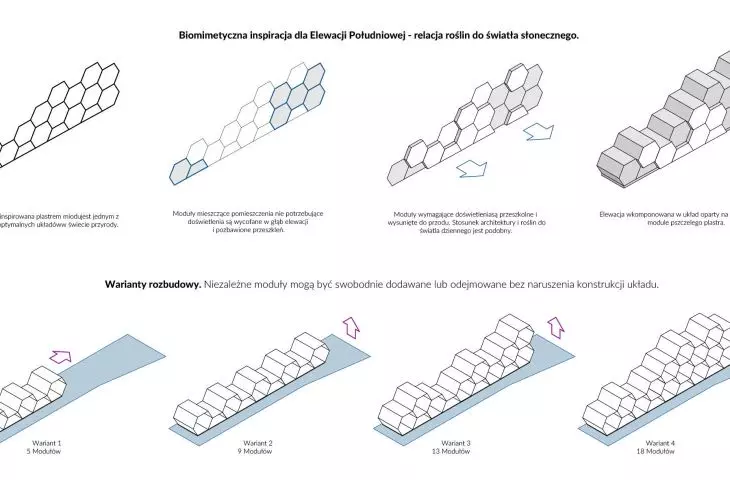 biomimetyczna inspiracja i warianty rozbudowy