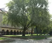 Stary Rynek w Łodzi obecnie