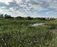 Parc Natural Văcărești