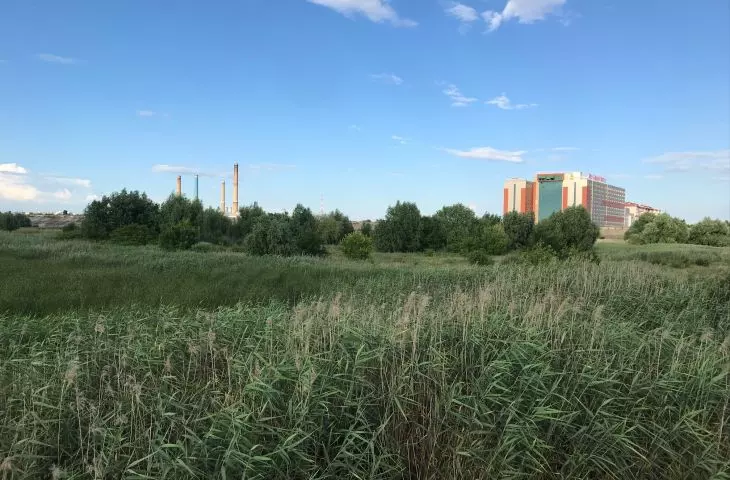 Parc Natural Văcărești