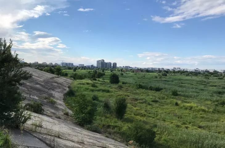 Parc Natural Văcărești